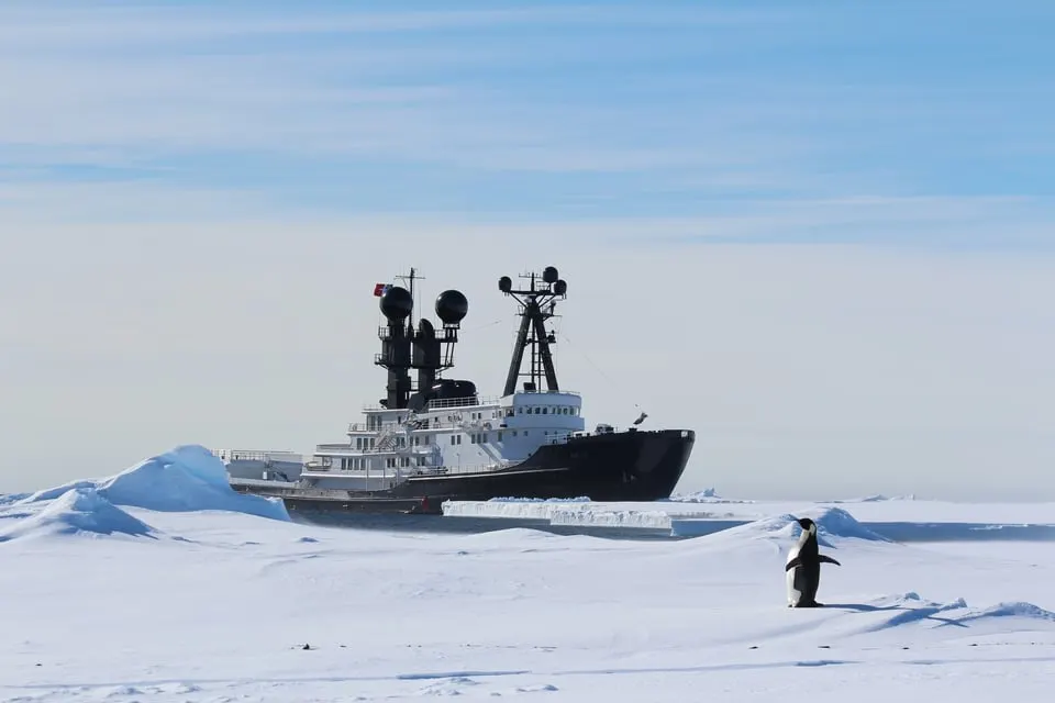 ARCTIC