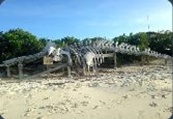 Shroud Cay — Highbourne Cay → Nassau