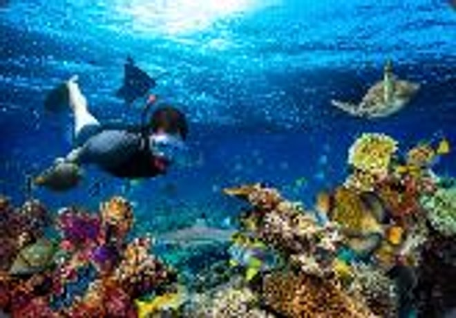 Staniel Cay — Highbourne Cay → Norman's Cay
