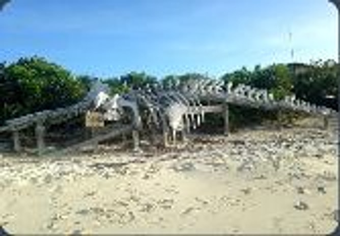Shroud Cay — Highbourne Cay → Norman's Cay