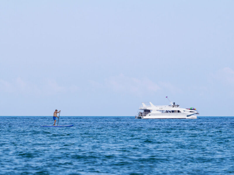 A,Man,Stand,Up,Paddle,Boarding,On,The,Sea.,Sup,