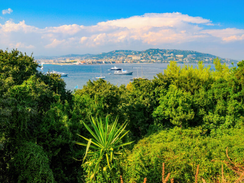 Stunning,View,From,Sainte-marguerite,Island,To,Strait,In,Mediterranean,Sea